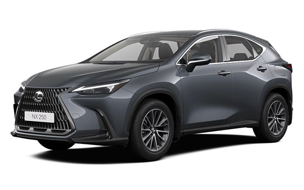 Сервисное обслуживание и ремонт автомобиля Lexus NX фото 1